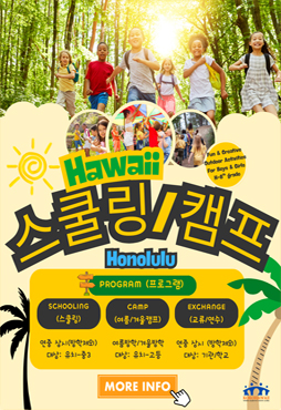 하와이 스쿨링캠프