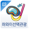 하와이선택관광